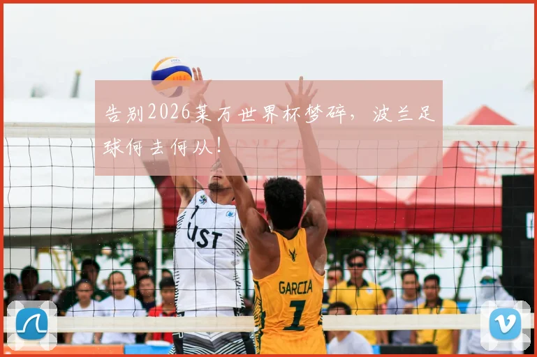 告别2026莱万世界杯梦碎,波兰足球何去何从!